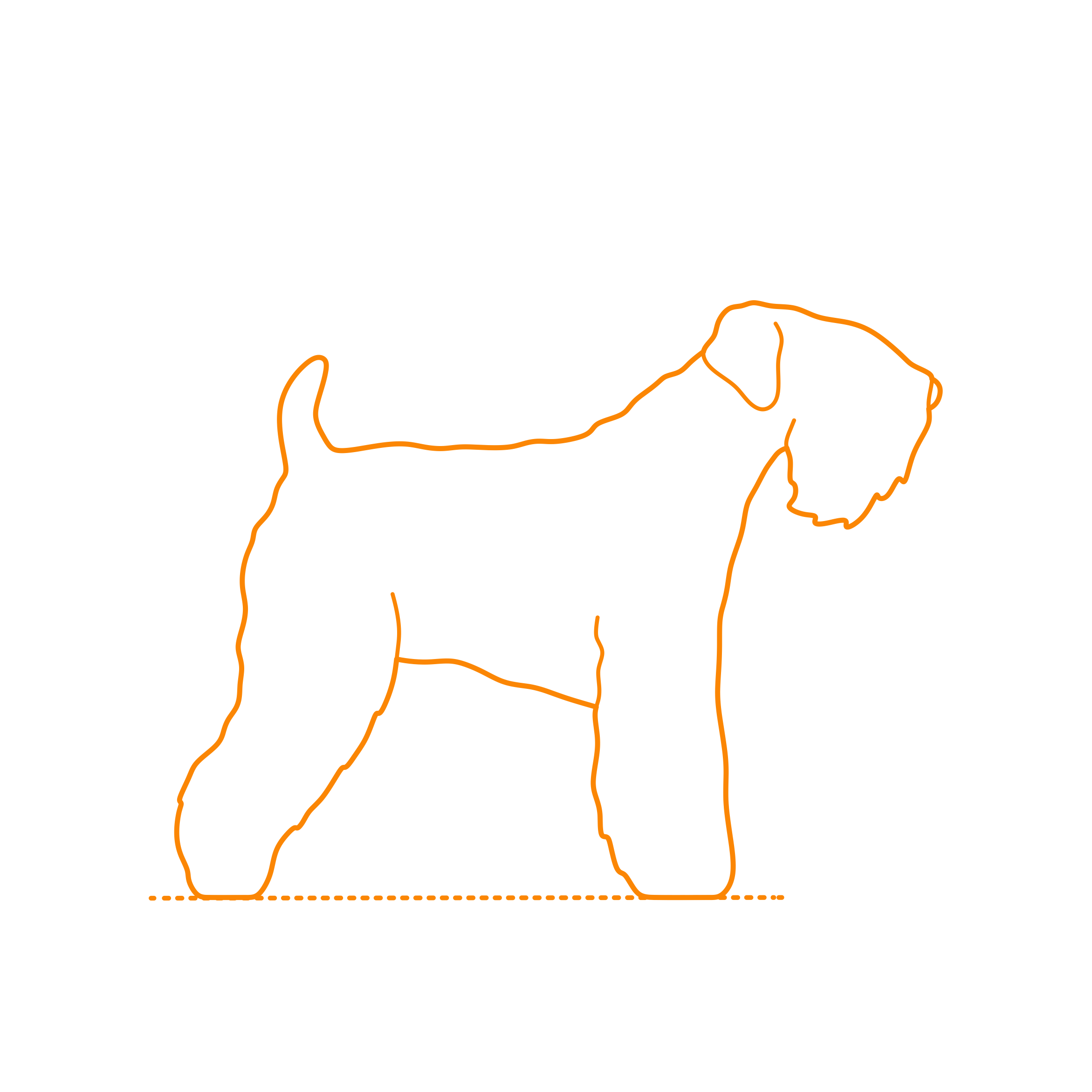 Animals Dogs Soft Coated Wheaten Terrier Outline Svg Vector Free Vectors